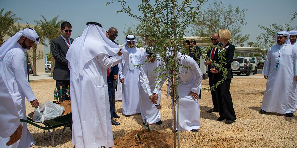 Preservation of Grace Conference